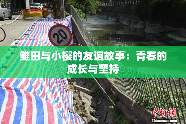 雏田与小樱的友谊故事：青春的成长与坚持