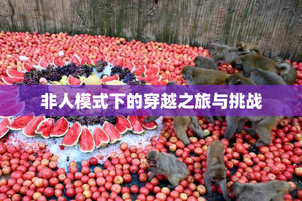 非人模式下的穿越之旅与挑战