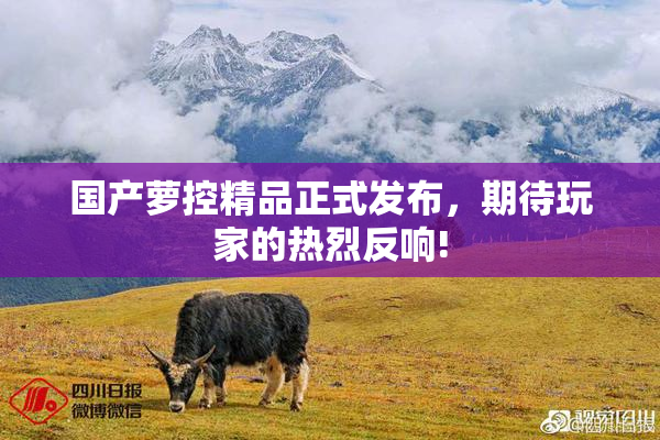 国产萝控精品正式发布，期待玩家的热烈反响!