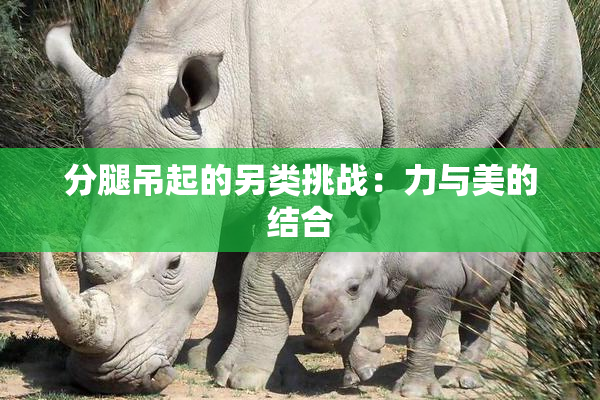 分腿吊起的另类挑战：力与美的结合