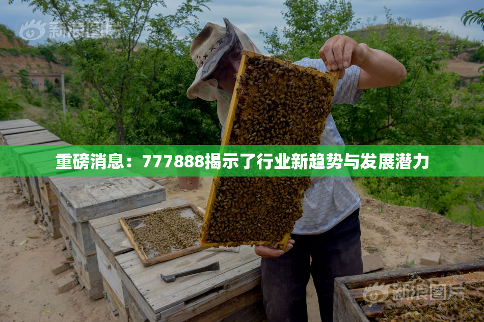 重磅消息：777888揭示了行业新趋势与发展潜力