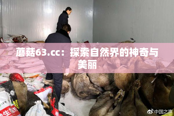 蘑菇63.㏄：探索自然界的神奇与美丽