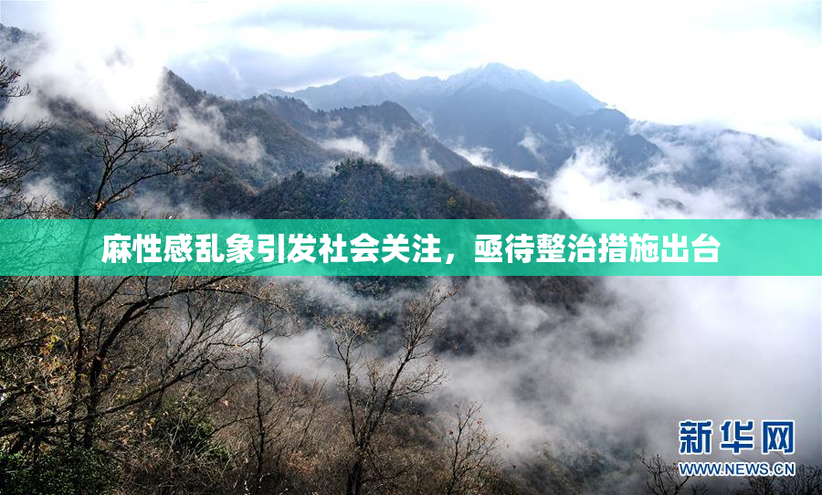 麻性感乱象引发社会关注，亟待整治措施出台