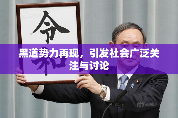 黑道势力再现，引发社会广泛关注与讨论