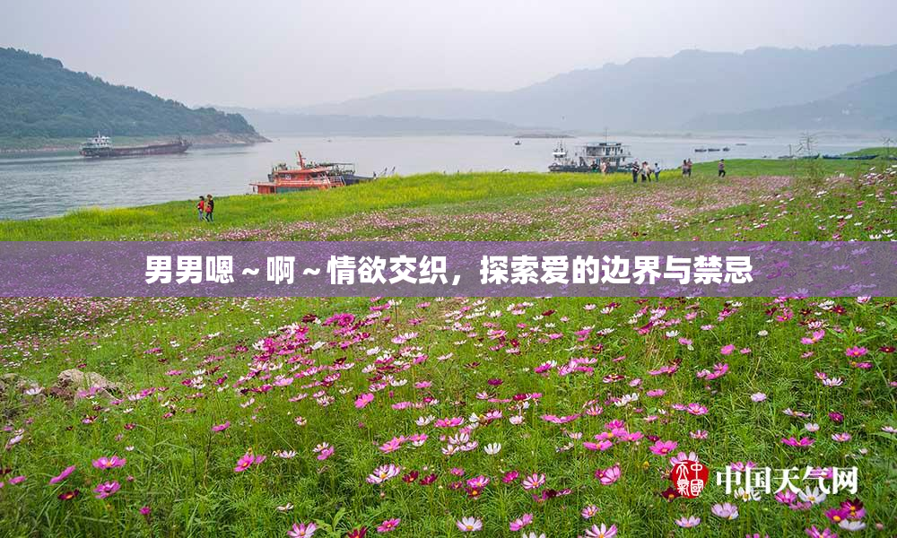 男男嗯～啊～情欲交织，探索爱的边界与禁忌