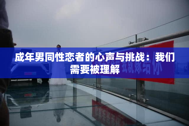 成年男同性恋者的心声与挑战：我们需要被理解