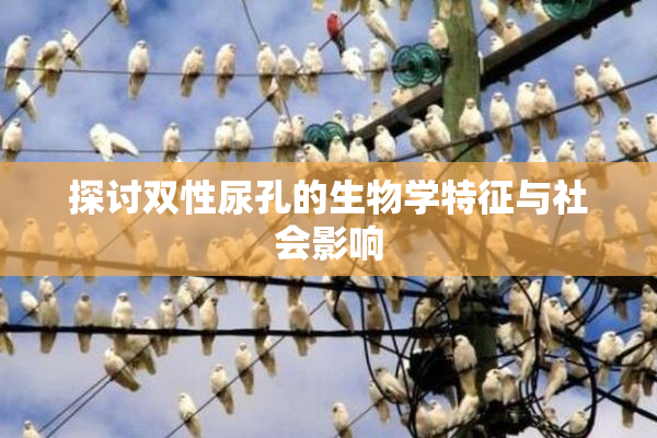 探讨双性尿孔的生物学特征与社会影响