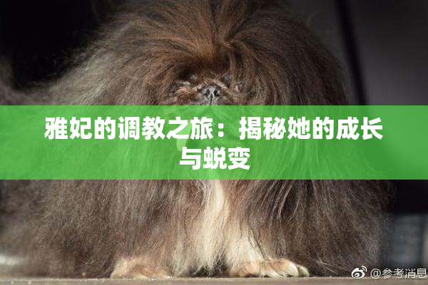 雅妃的调教之旅：揭秘她的成长与蜕变