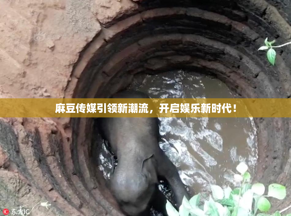 麻豆传媒引领新潮流，开启娱乐新时代！