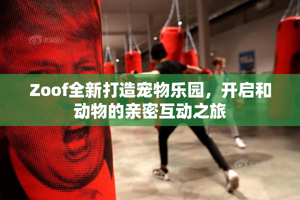 Zoof全新打造宠物乐园，开启和动物的亲密互动之旅