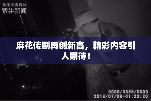 麻花传剧再创新高，精彩内容引人期待！
