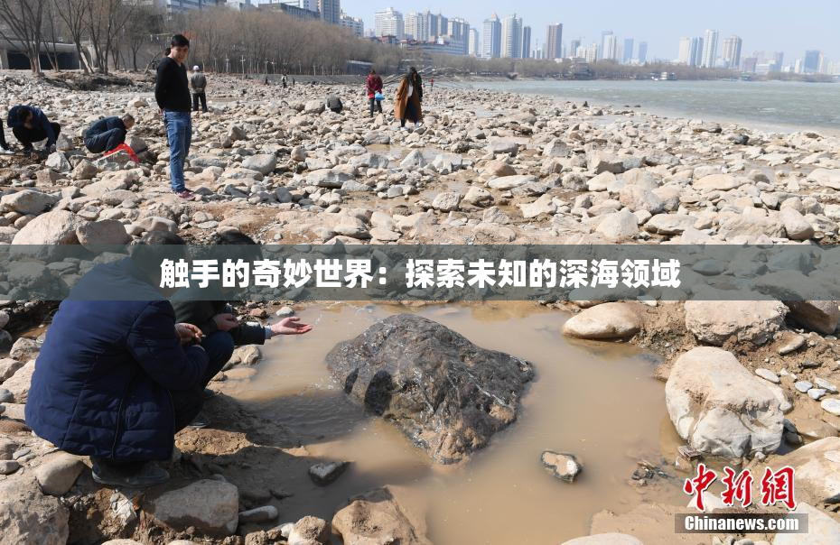 触手的奇妙世界：探索未知的深海领域