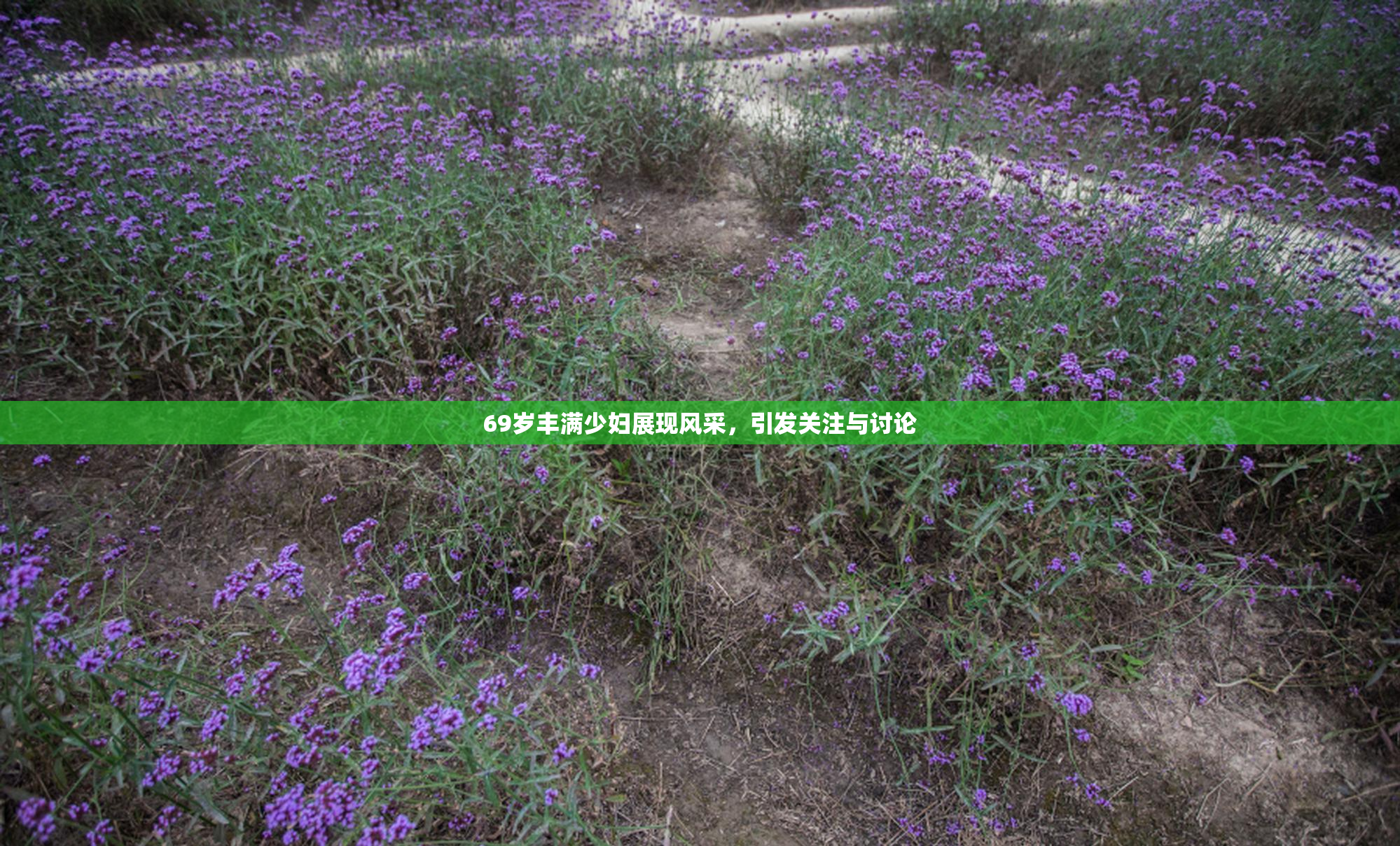 69岁丰满少妇展现风采，引发关注与讨论