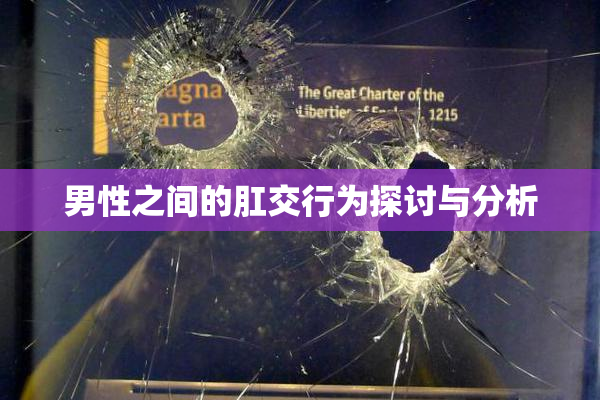 男性之间的肛交行为探讨与分析
