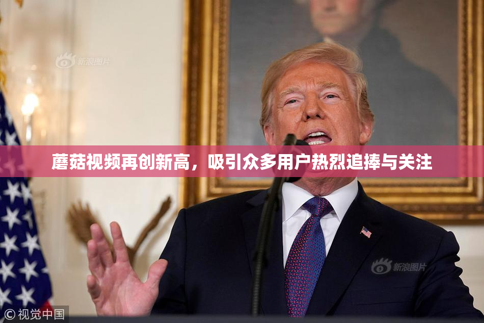 蘑菇视频再创新高，吸引众多用户热烈追捧与关注