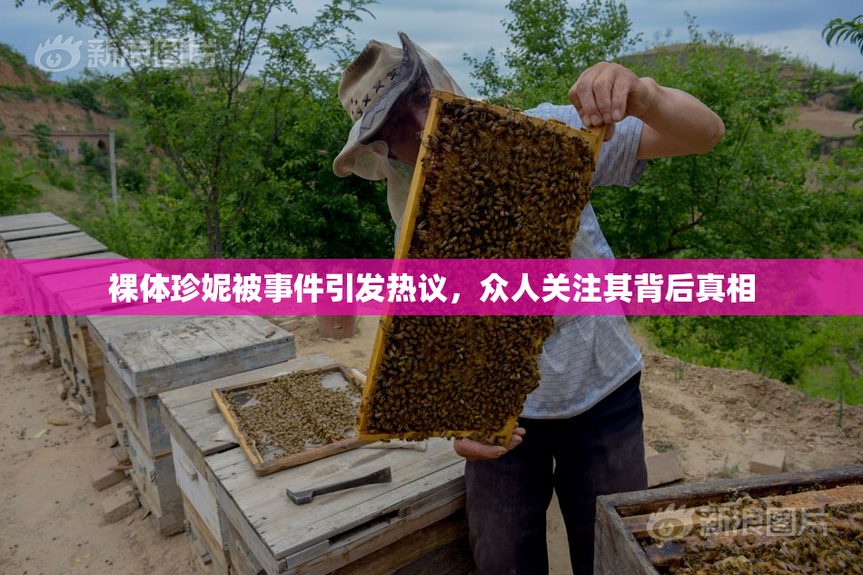裸体珍妮被事件引发热议，众人关注其背后真相