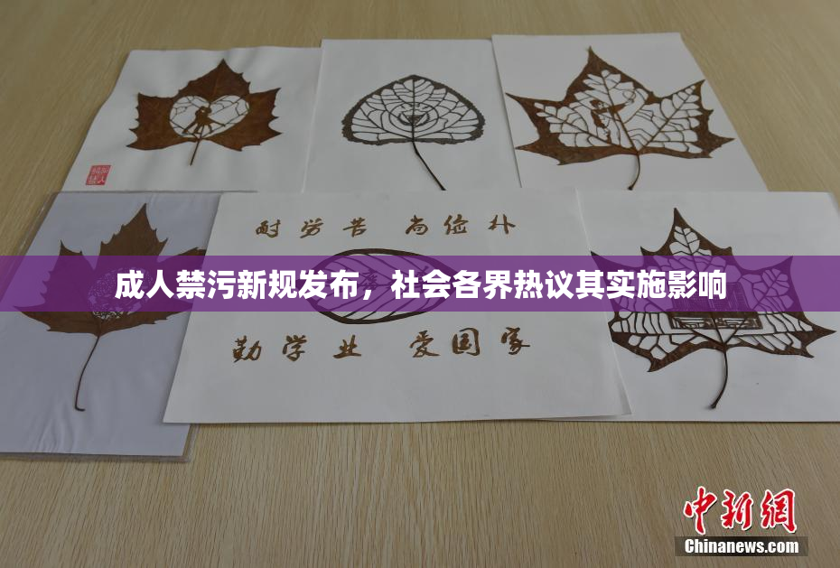 成人禁污新规发布，社会各界热议其实施影响
