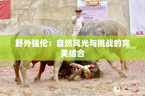 野外强伦：自然风光与挑战的完美结合
