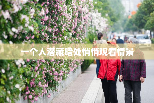 一个人潜藏暗处悄悄观看情景