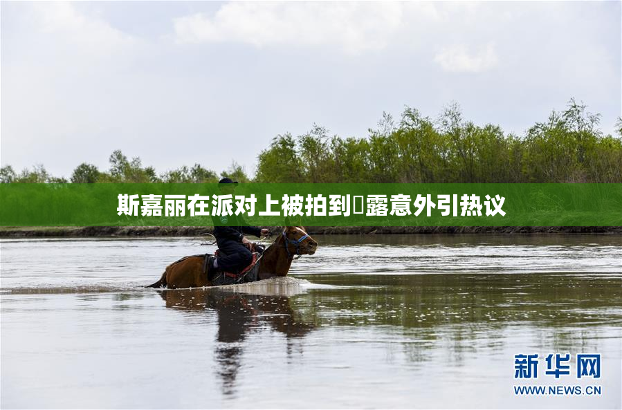 斯嘉丽在派对上被拍到祼露意外引热议