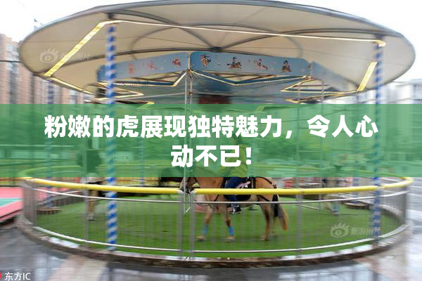 粉嫩的虎展现独特魅力，令人心动不已！