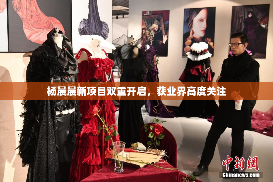 杨晨晨新项目双重开启，获业界高度关注