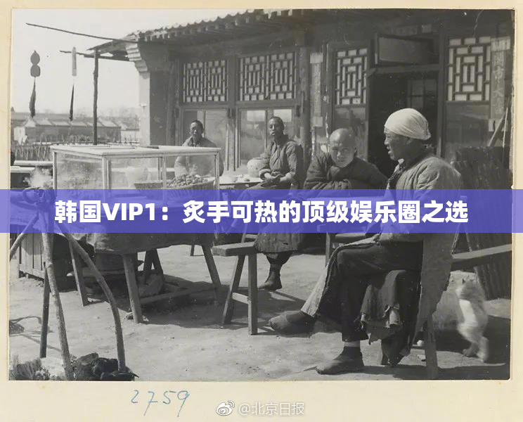 韩国VIP1：炙手可热的顶级娱乐圈之选