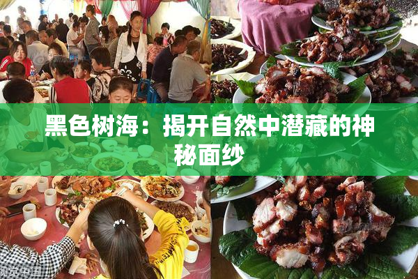 黑色树海：揭开自然中潜藏的神秘面纱