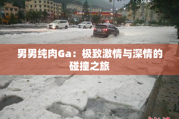 男男纯肉Ga：极致激情与深情的碰撞之旅