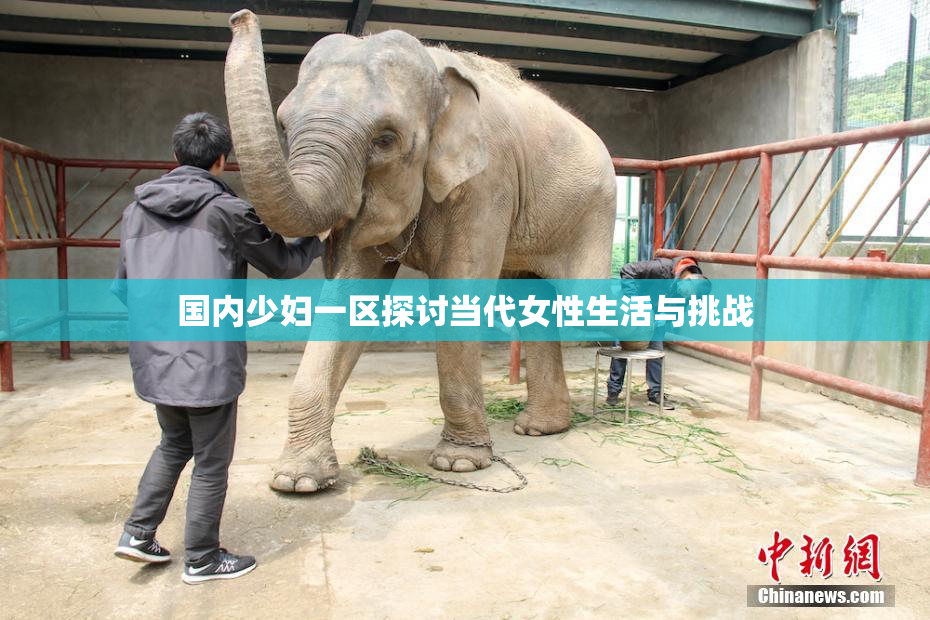 国内少妇一区探讨当代女性生活与挑战