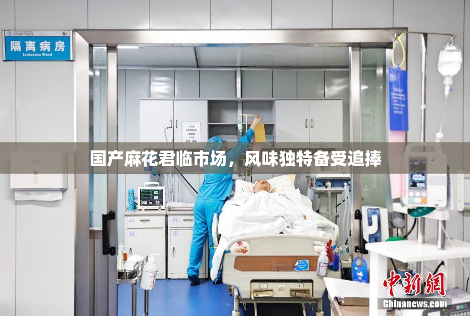 国产麻花君临市场，风味独特备受追捧