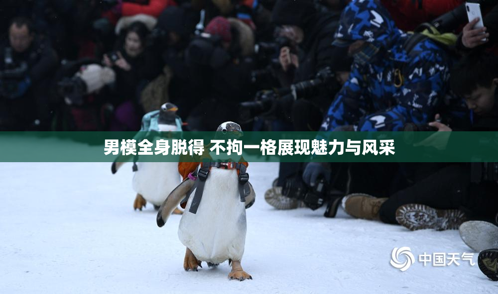 男模全身脱得 不拘一格展现魅力与风采
