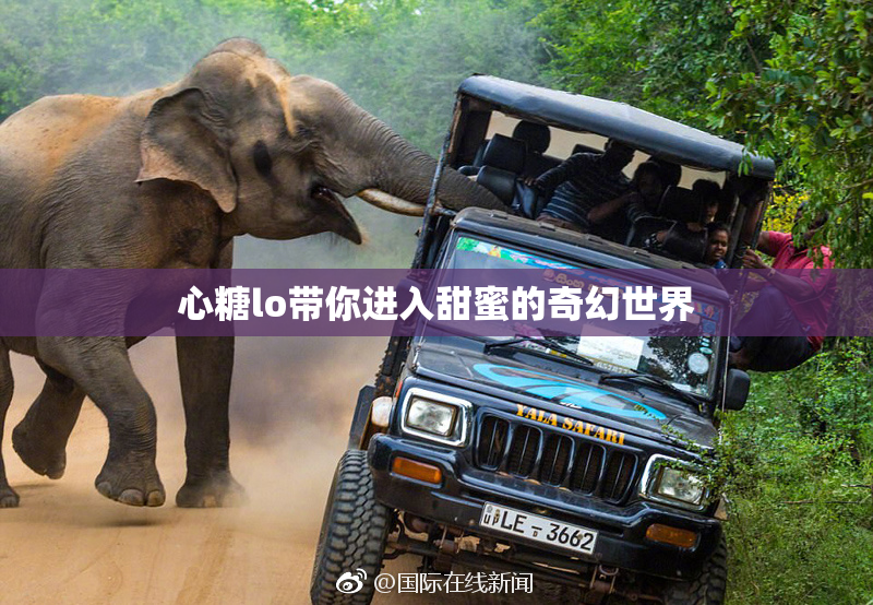 心糖lo带你进入甜蜜的奇幻世界