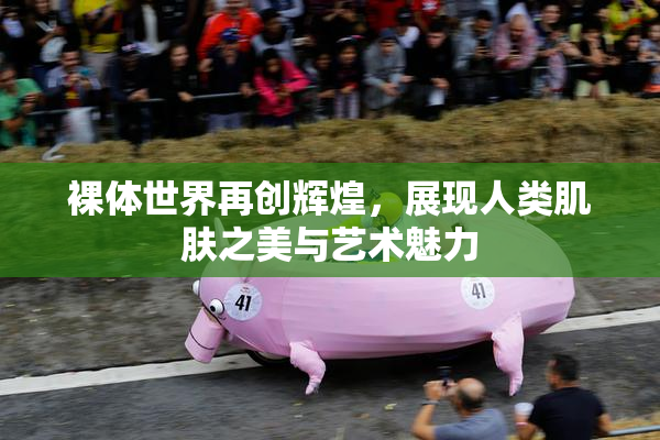 裸体世界再创辉煌，展现人类肌肤之美与艺术魅力