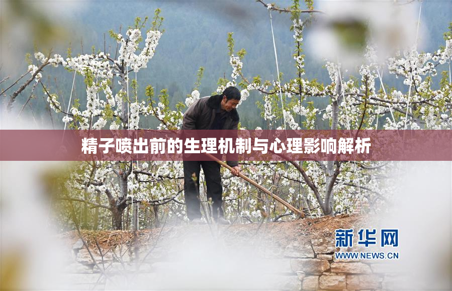 精子喷出前的生理机制与心理影响解析