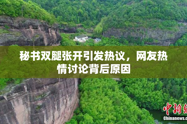 秘书双腿张开引发热议，网友热情讨论背后原因
