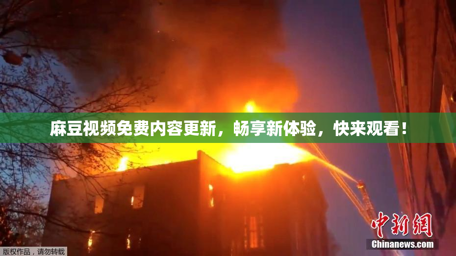 麻豆视频免费内容更新，畅享新体验，快来观看！