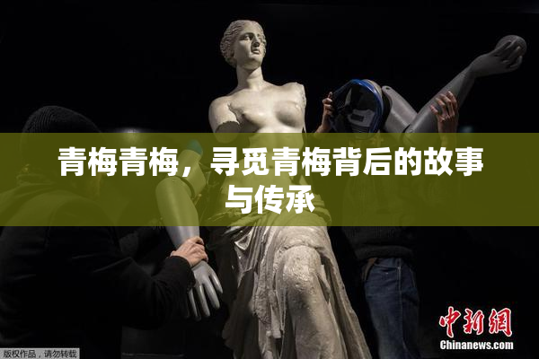青梅青梅，寻觅青梅背后的故事与传承