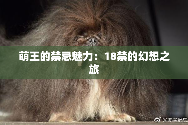 萌王的禁忌魅力：18禁的幻想之旅