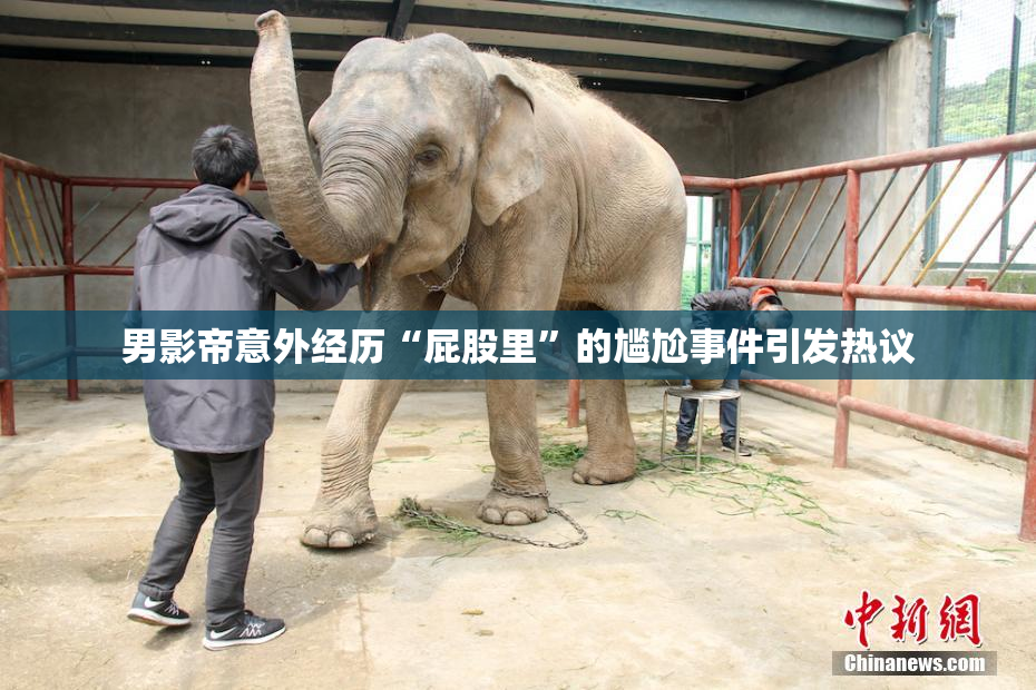 男影帝意外经历“屁股里”的尴尬事件引发热议