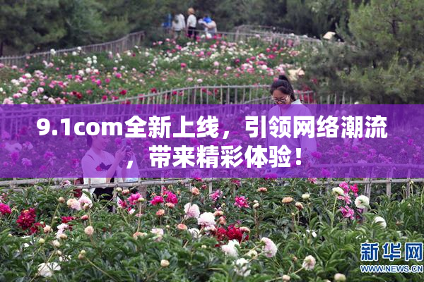 9.1com全新上线，引领网络潮流，带来精彩体验！