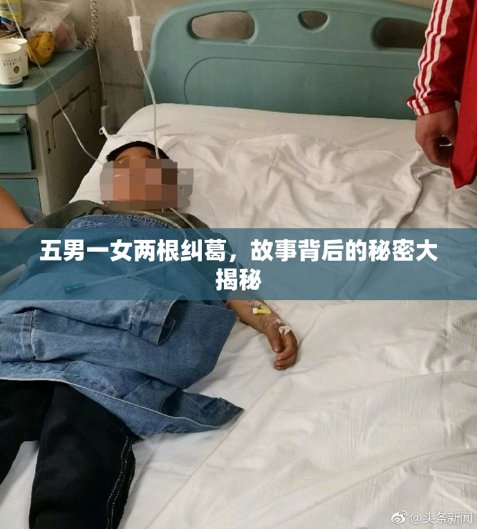 五男一女两根纠葛，故事背后的秘密大揭秘