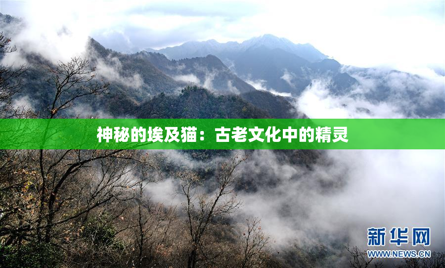 神秘的埃及猫：古老文化中的精灵