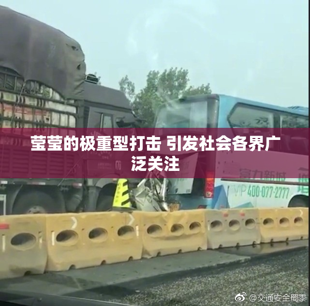 莹莹的极重型打击 引发社会各界广泛关注