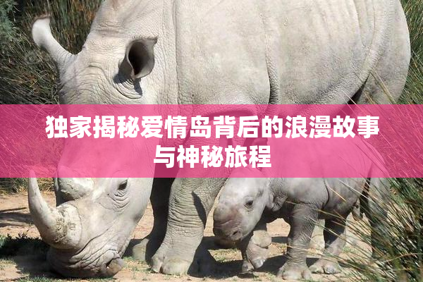 独家揭秘爱情岛背后的浪漫故事与神秘旅程