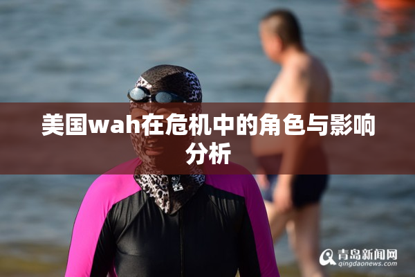 美国wah在危机中的角色与影响分析