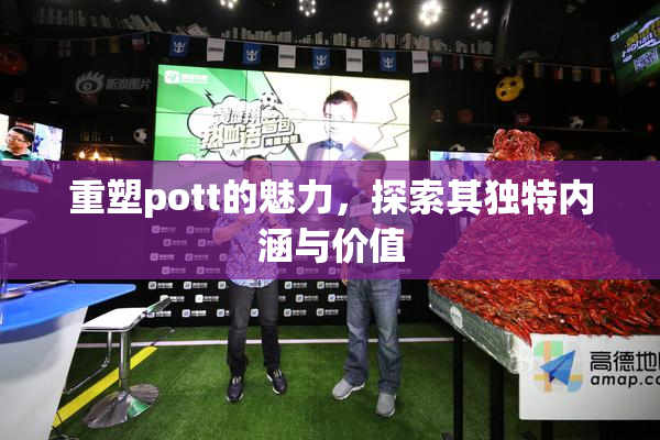 重塑pott的魅力，探索其独特内涵与价值