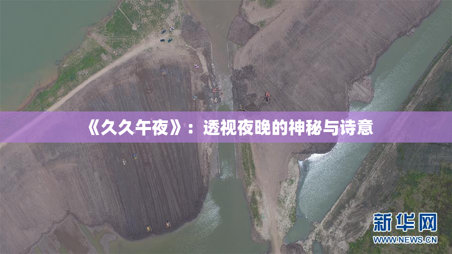 《久久午夜》：透视夜晚的神秘与诗意