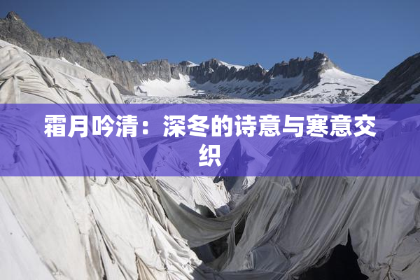 霜月吟清：深冬的诗意与寒意交织
