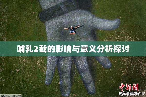 哺乳2截的影响与意义分析探讨